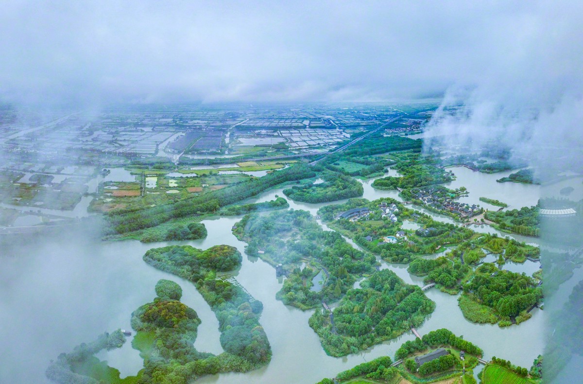 江南水乡江苏，东方明珠的文化底蕴之旅