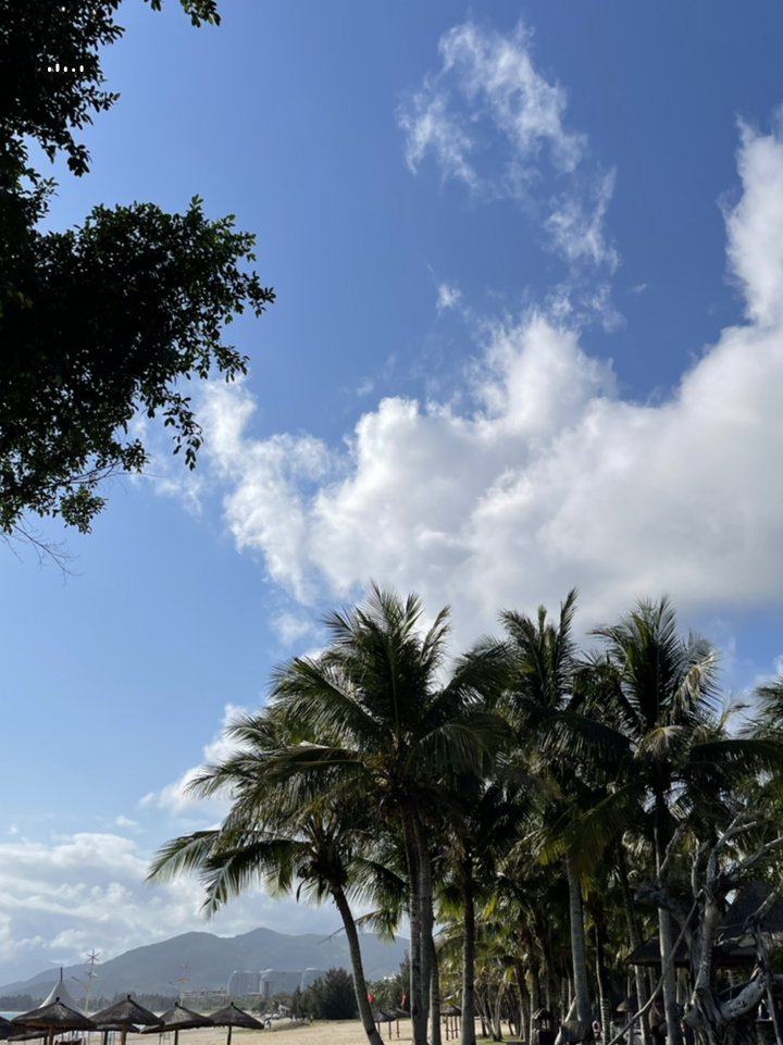 海南风情之旅,行吟海南美景